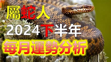 屬蛇適合什麼顏色|【屬蛇適合什麼顏色】屬蛇適合什麼好兆頭顏色？讓你旺運致富終。